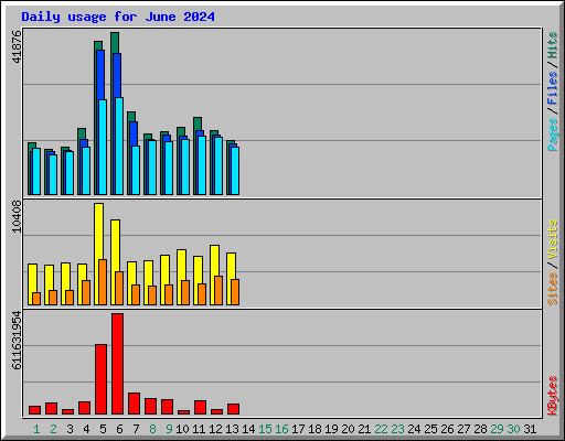 Daily usage for June 2024