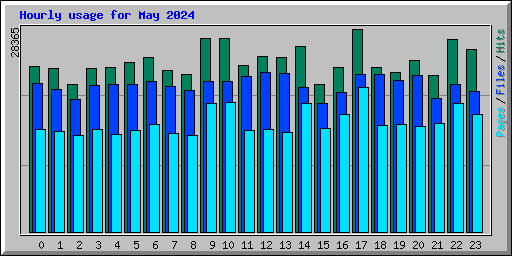 Hourly usage for May 2024