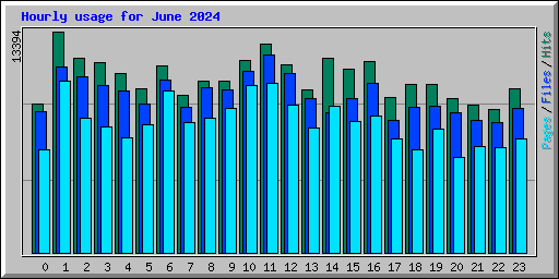 Hourly usage for June 2024